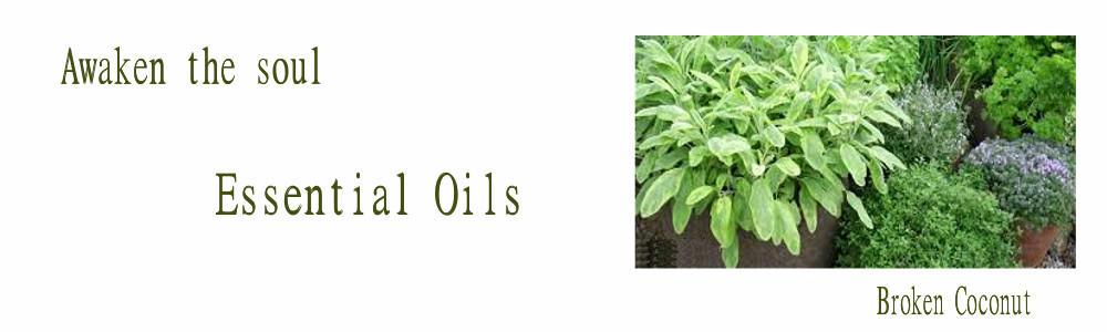 Natural Bug Repellant & Essential Oils
